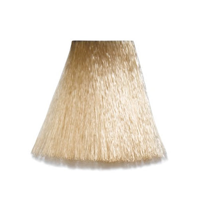 10/16 - 10-AV Lightest Blond Ash Violet