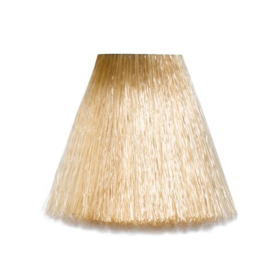 10/3 - 10-G Lightest Blond Gold