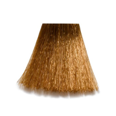 7/3 - 7-G Medium Blond Gold