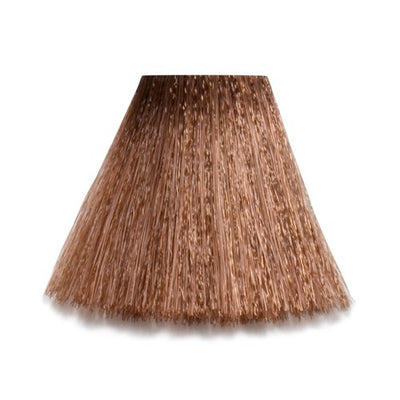 7/75 - 7-BR Chesnut