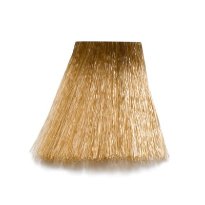 8/0 - 8-N Light Blond