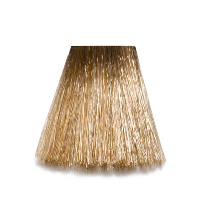 8/1 - 8-A Light Blond Ash